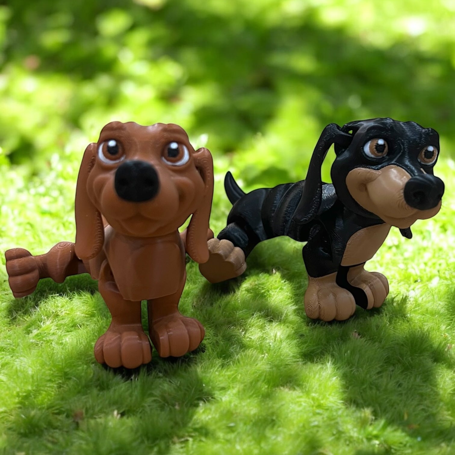 Frank & Beans – the Dynamic Dachshund Duo