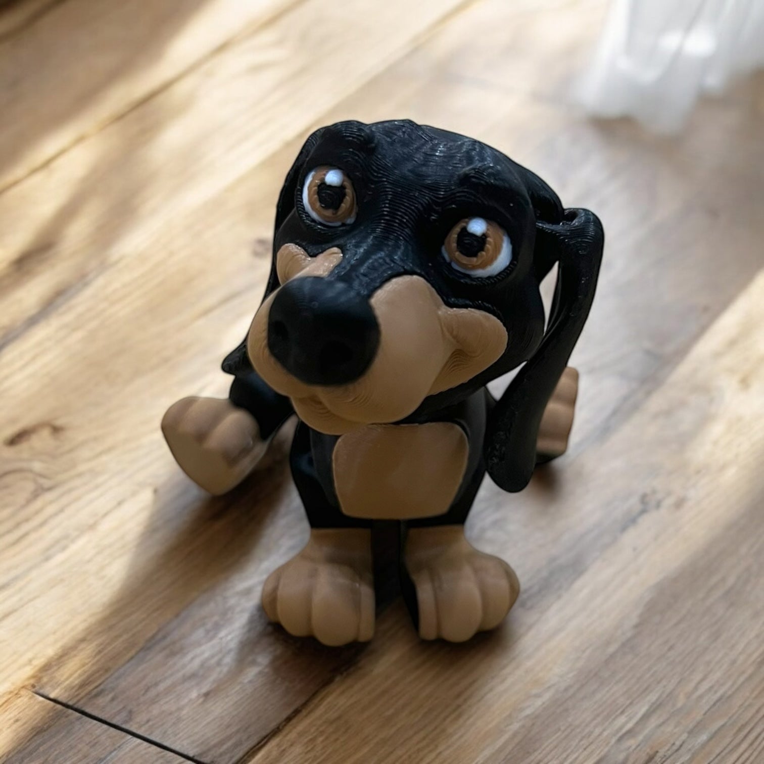Frank & Beans – the Dynamic Dachshund Duo