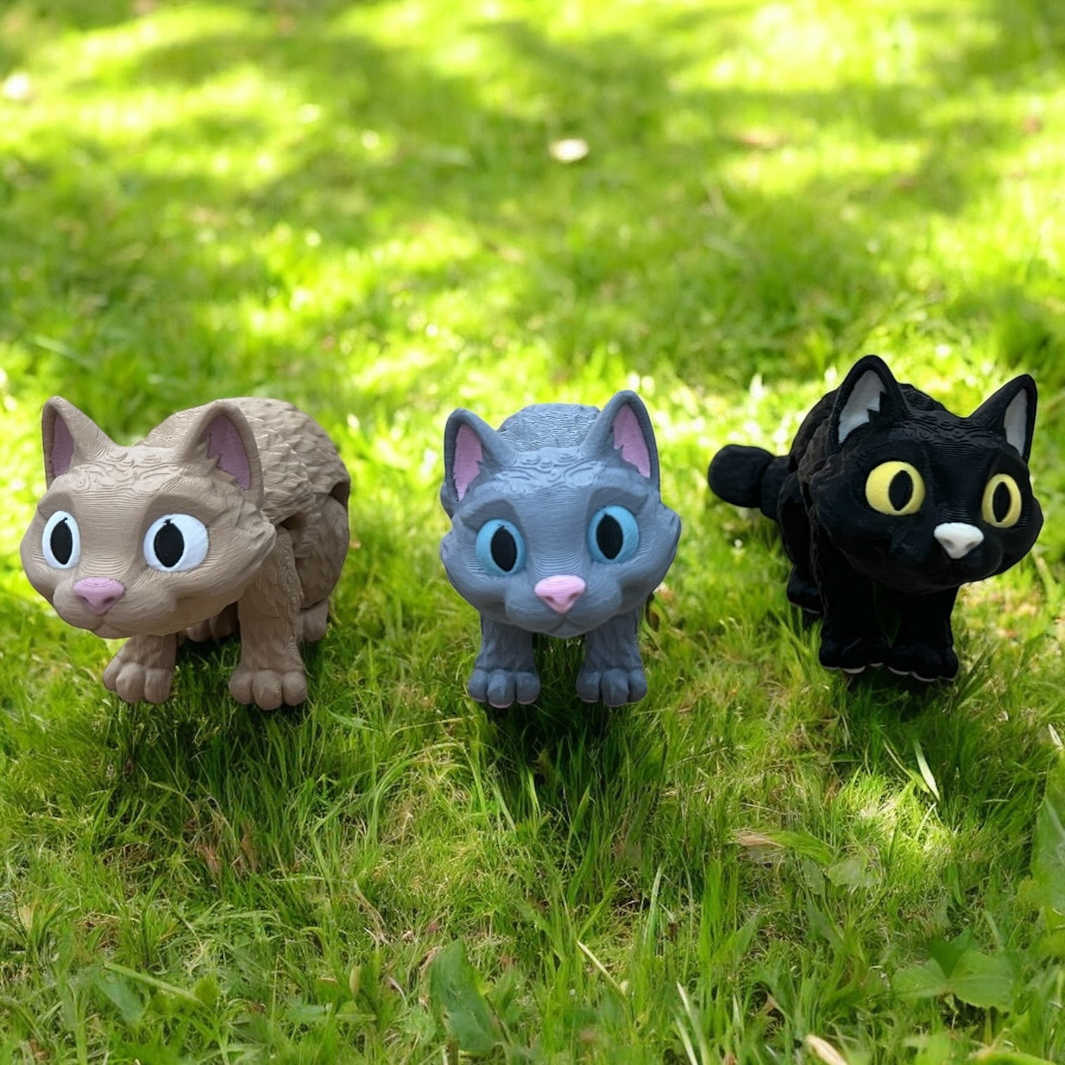 Luna, Misty & Shadow the Curious Kitten