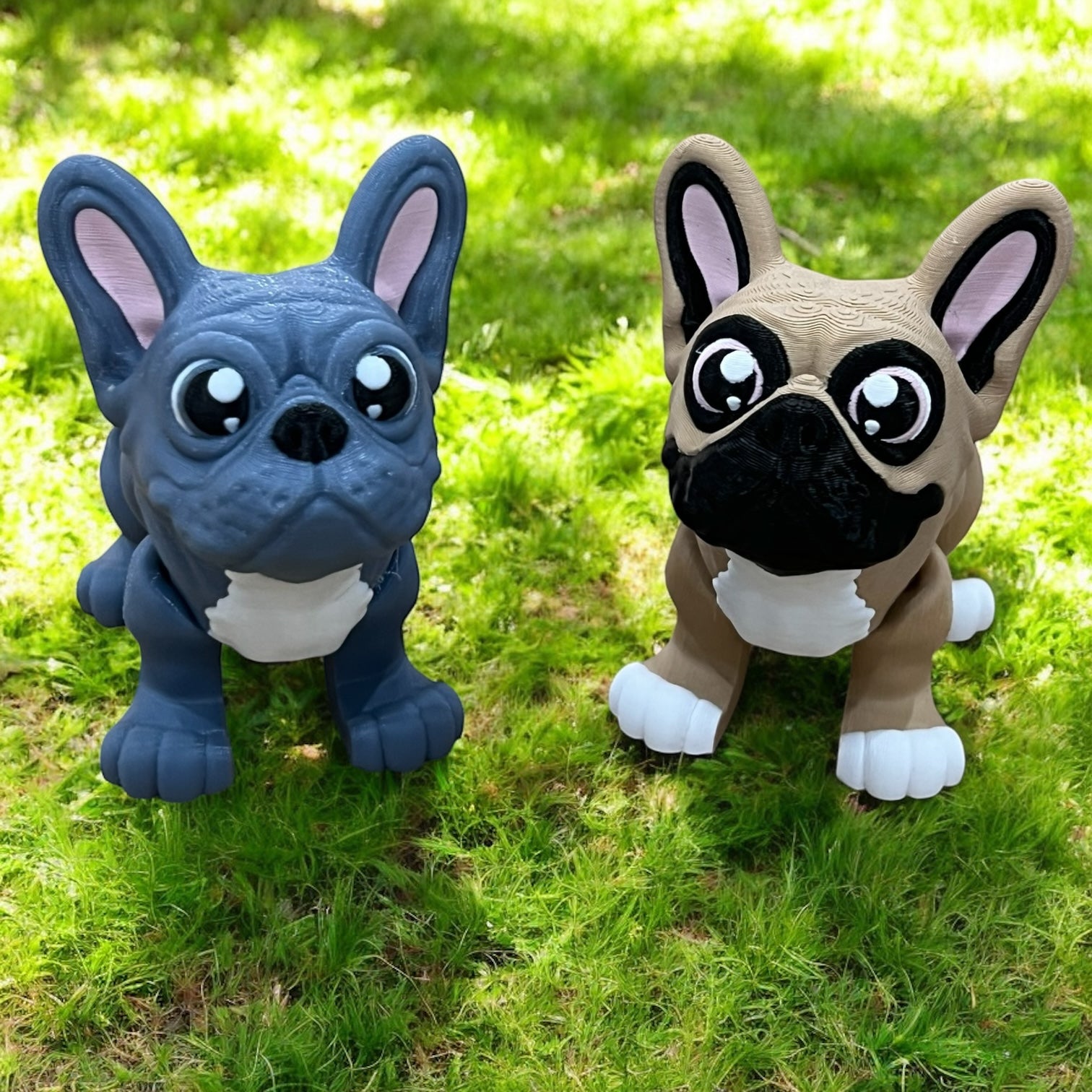 Hugo & Bella – The Frenchie Duo