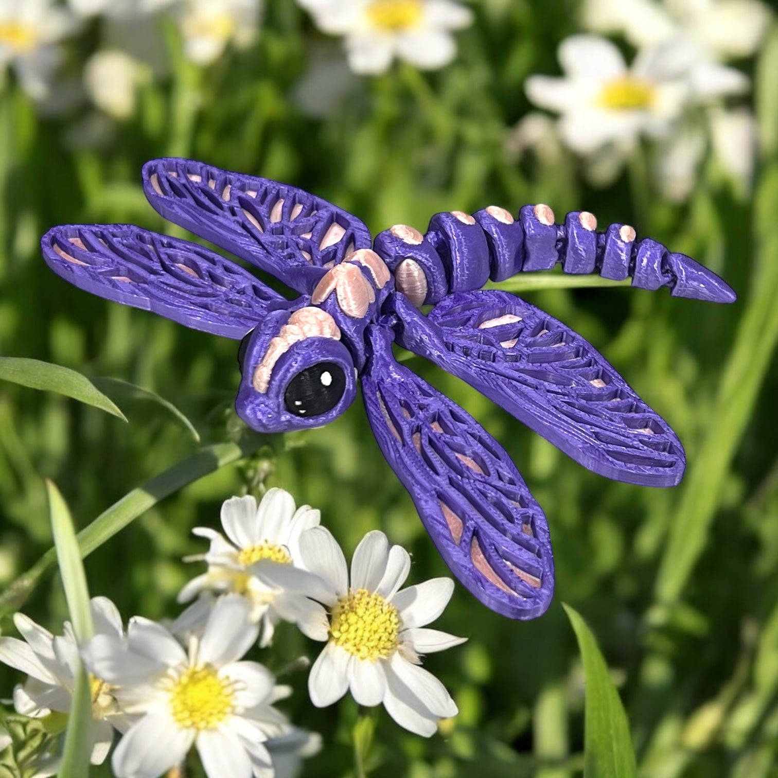 Willow the Dragonfly