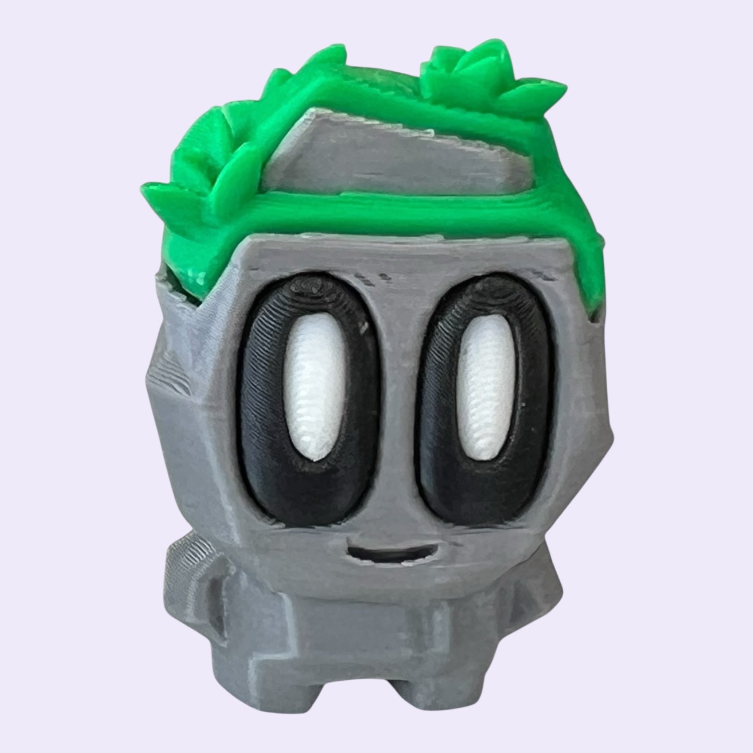 Classic Series Pet Rocks
