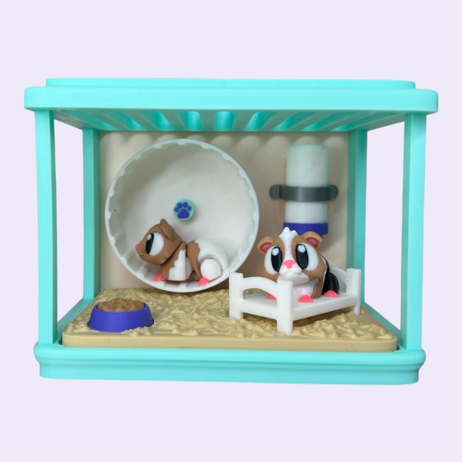 Guinea Pig Enclosure + Mini Guinea Pigs