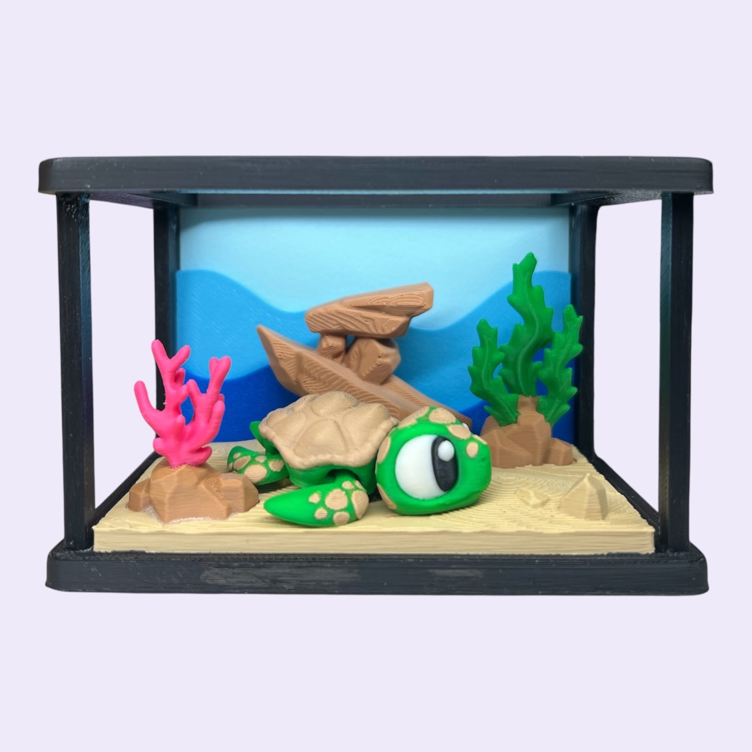 Mini Aquarium + Your Choice of Ocean Critters