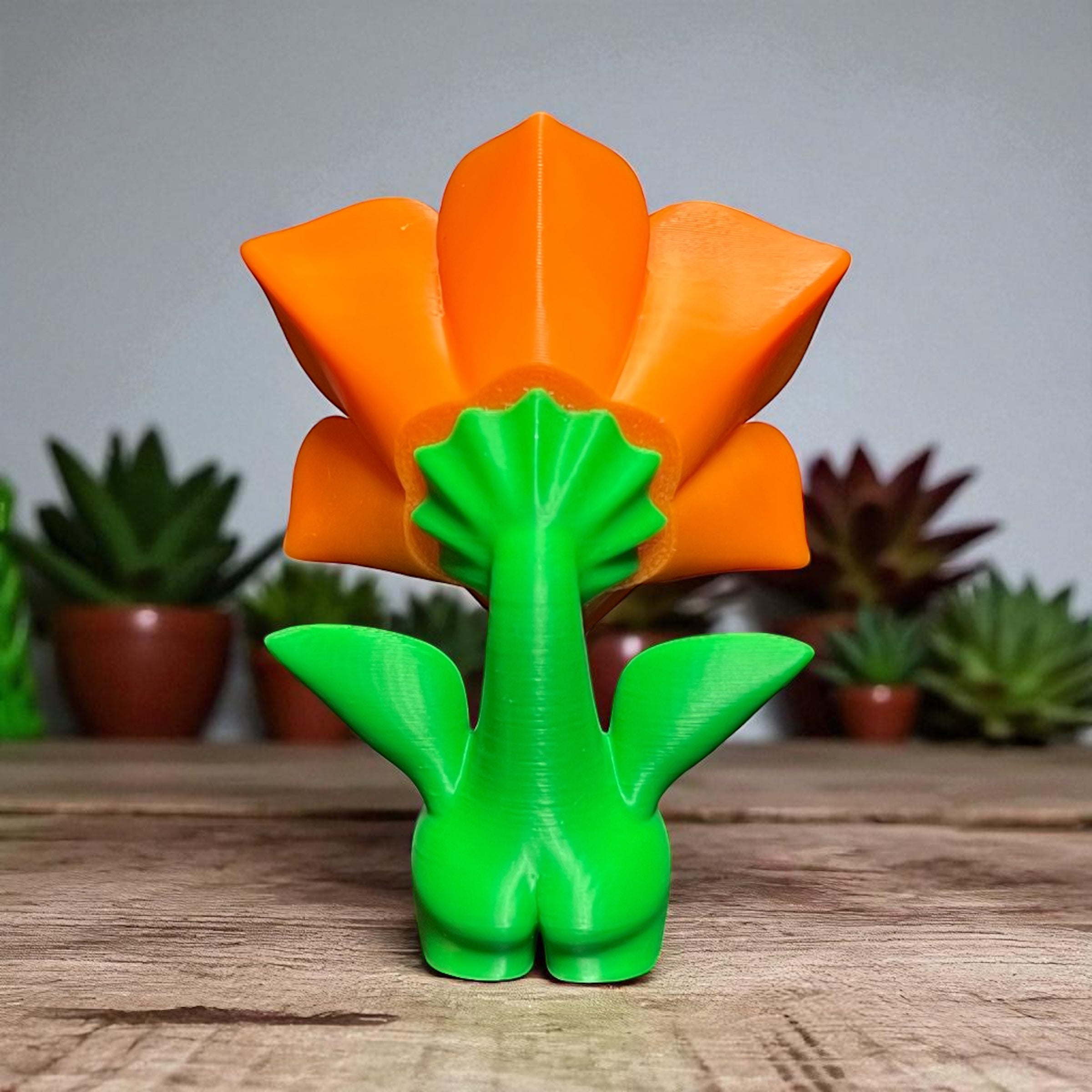 Sunny Bloom