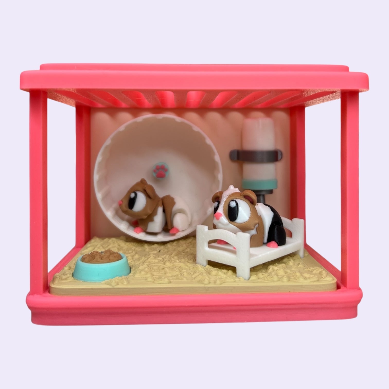 Guinea Pig Enclosure + Mini Guinea Pigs