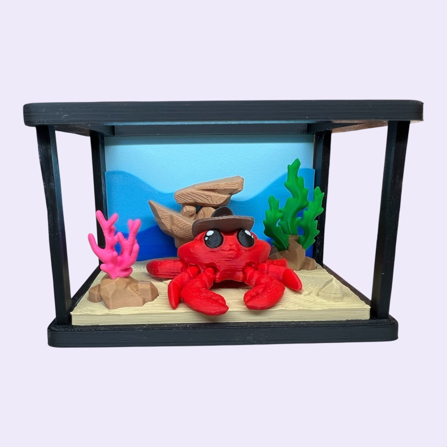 Mini Aquarium + Your Choice of Ocean Critters