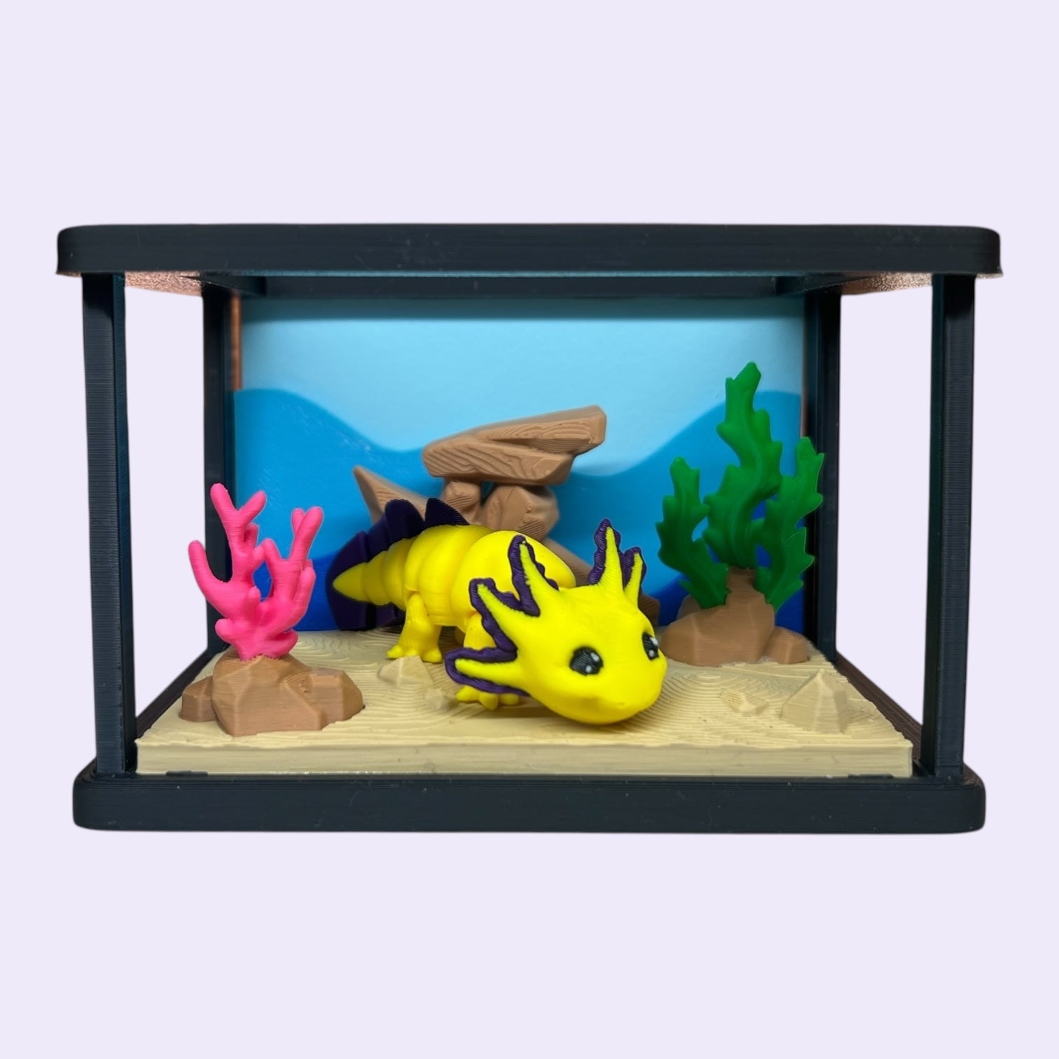 Mini Aquarium + Your Choice of Ocean Critters