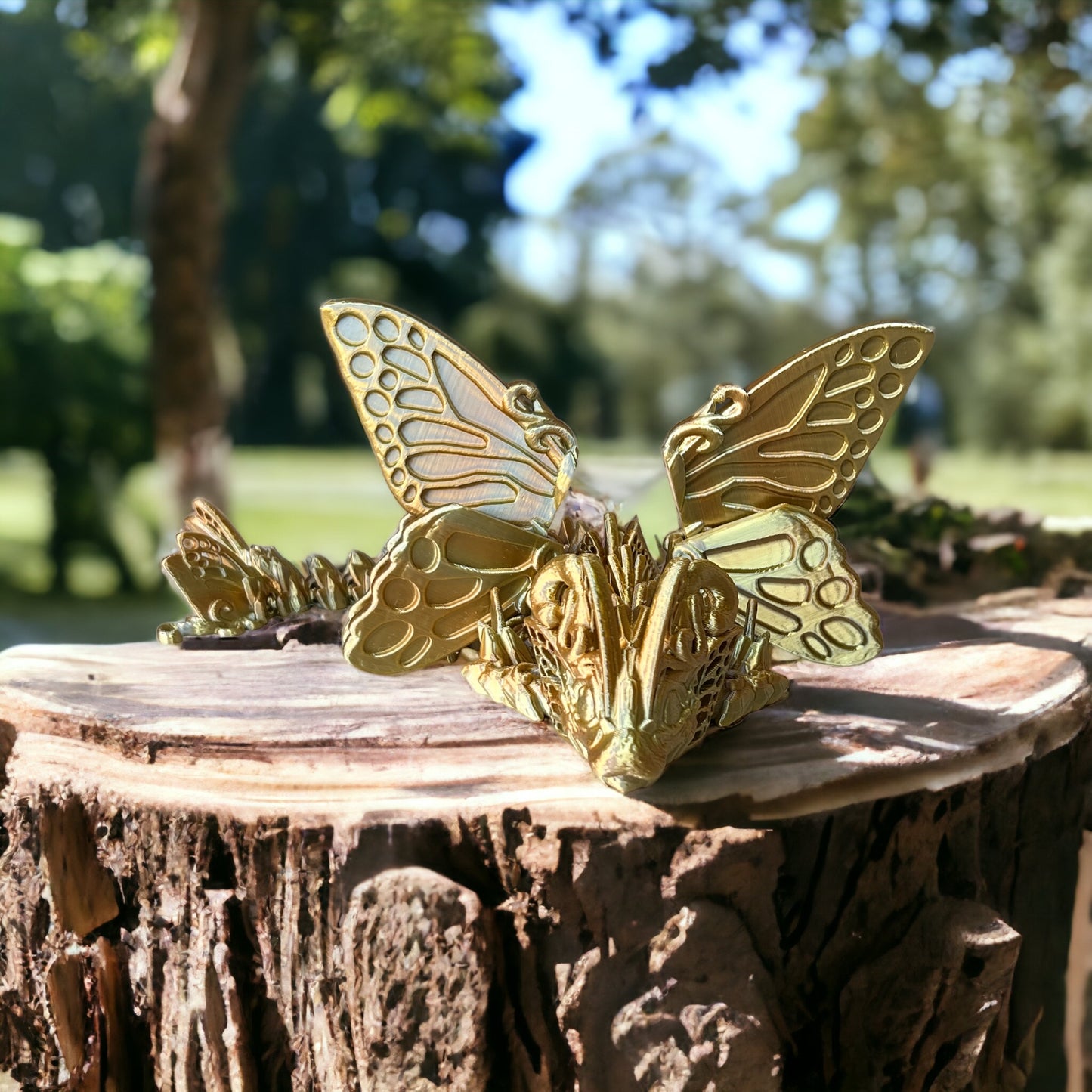 Baby Butterfly Dragon