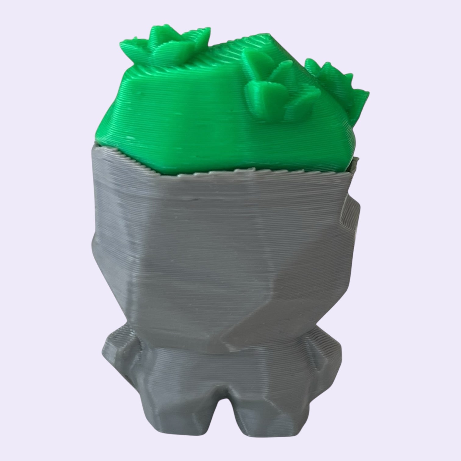 Classic Series Pet Rocks