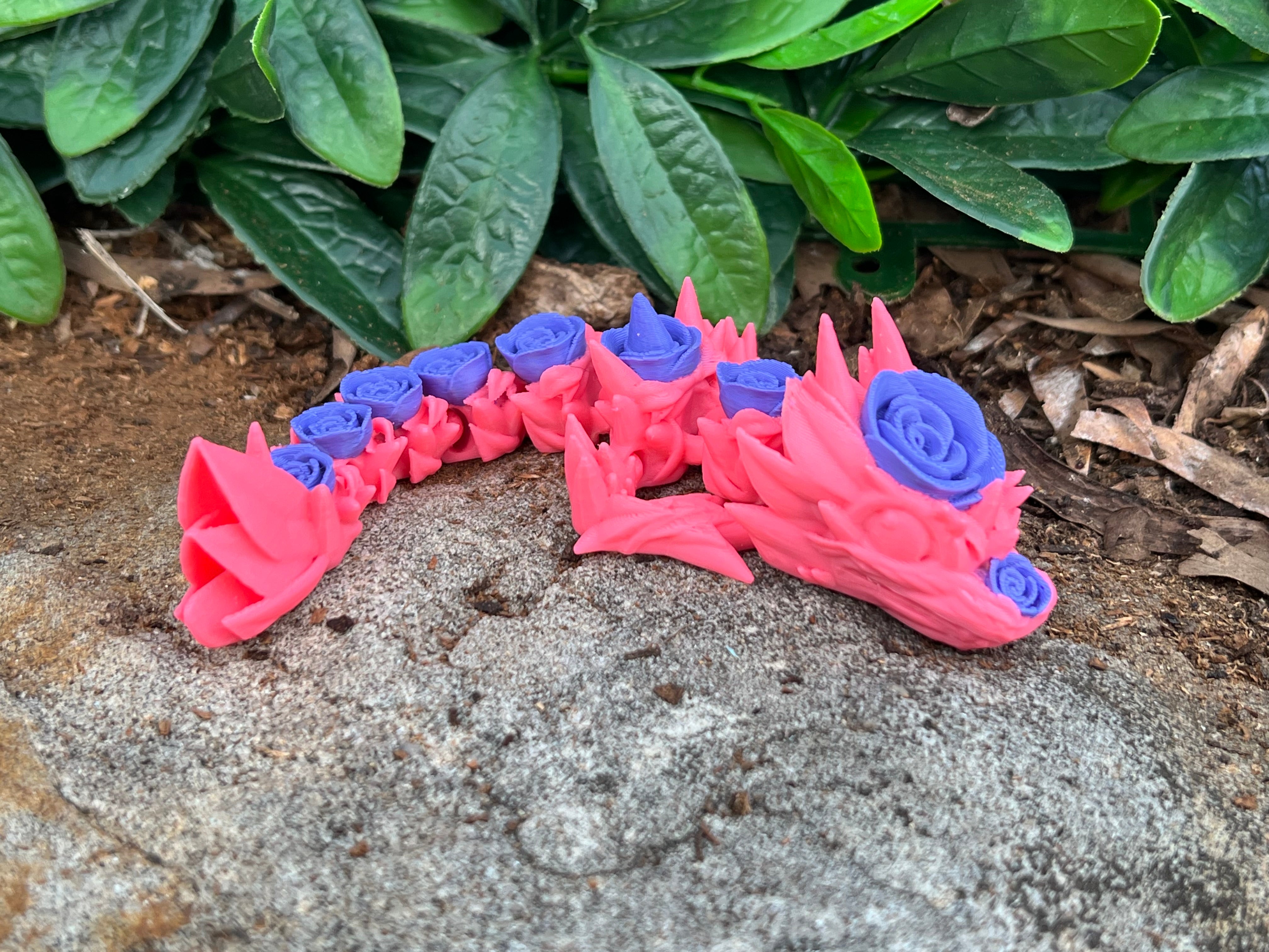 Rose Dragon Tadling