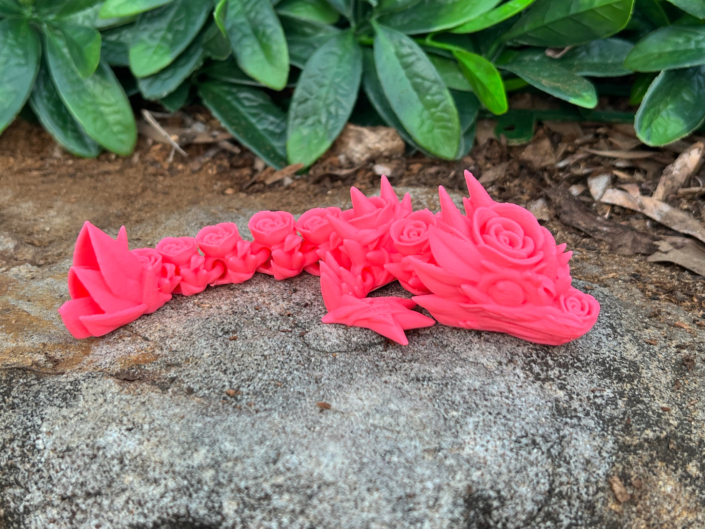 Rose Dragon Tadling