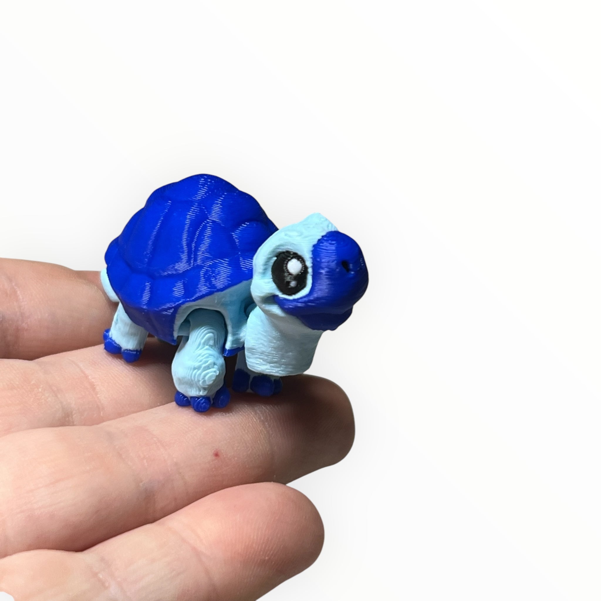 Tiki the Tortoise Mini