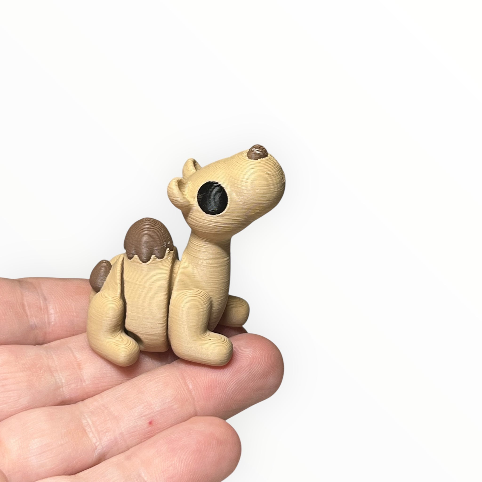 Sandy – the chillest camel Mini