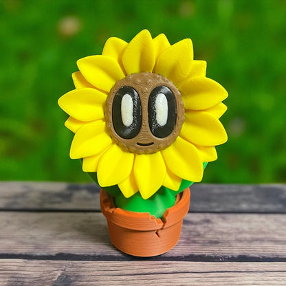 Sunnykins