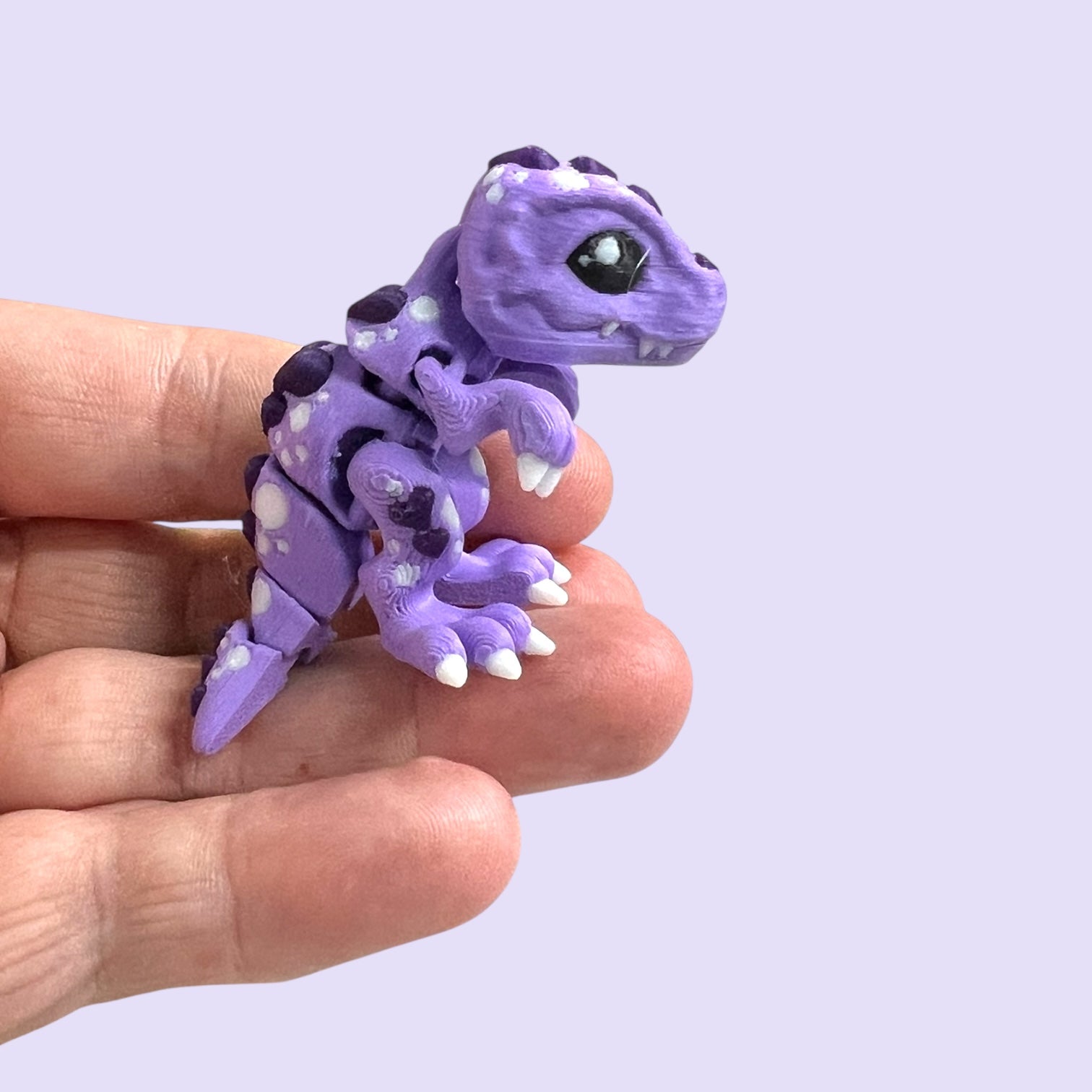 Roxy & Ruby the Heart TRex Mini