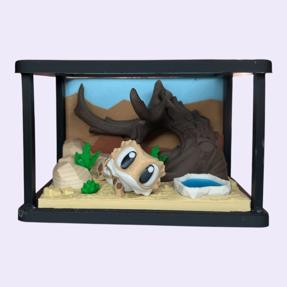 Bearded Dragon Enclosure