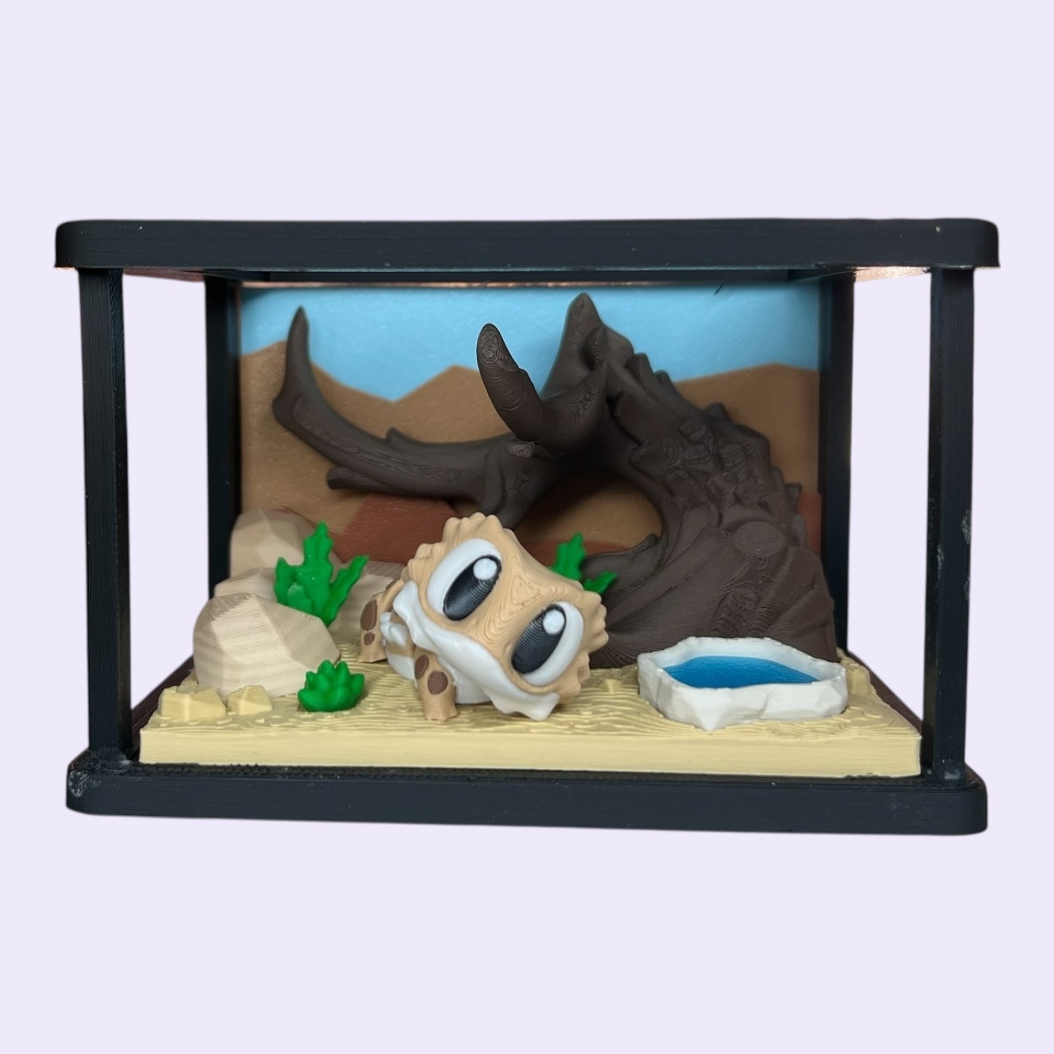 Bearded Dragon Enclosure