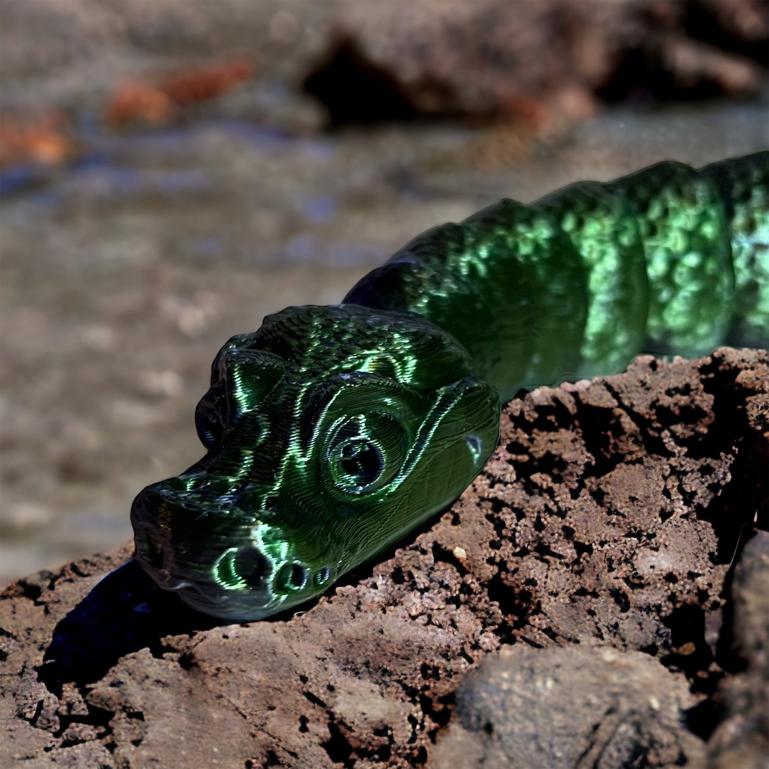 Baby Ball Python
