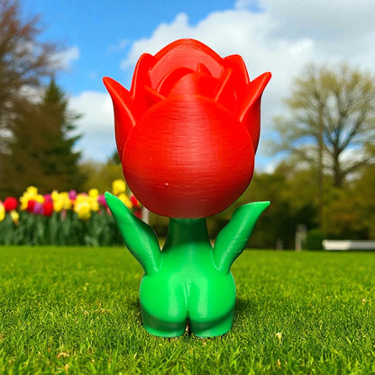 Tulio the Tulip