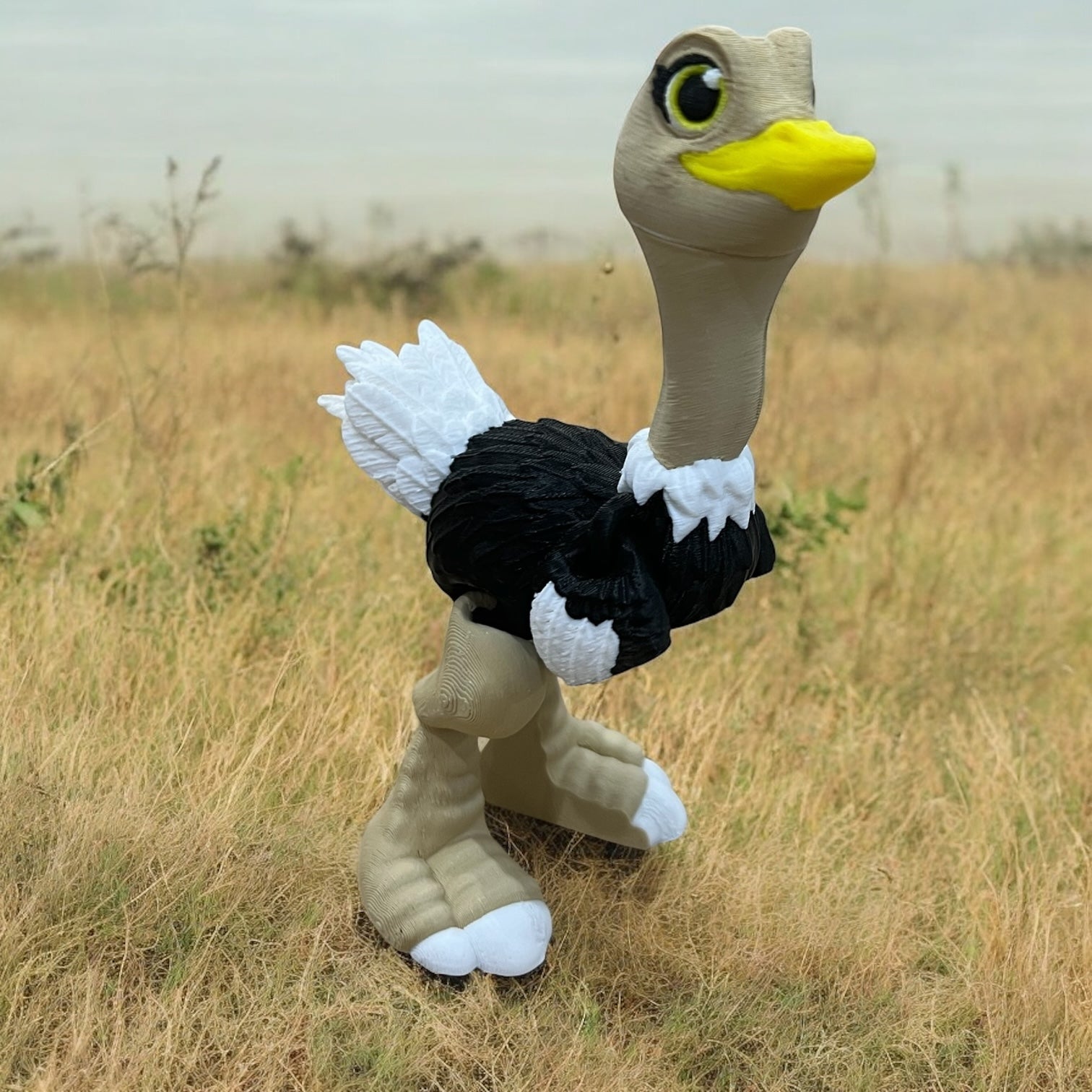 Ollie the Ostrich