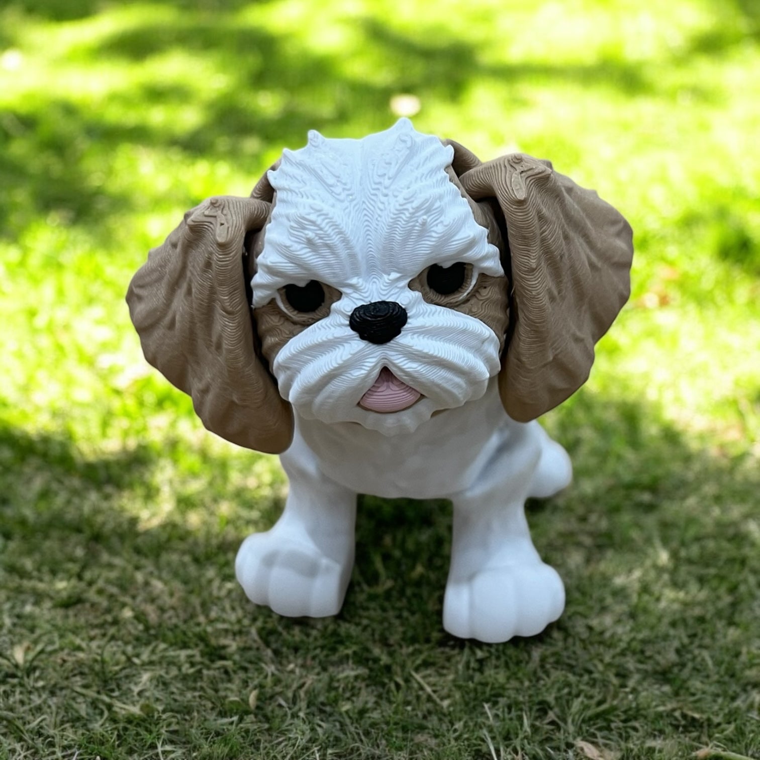 Grumble the Shih Tzu