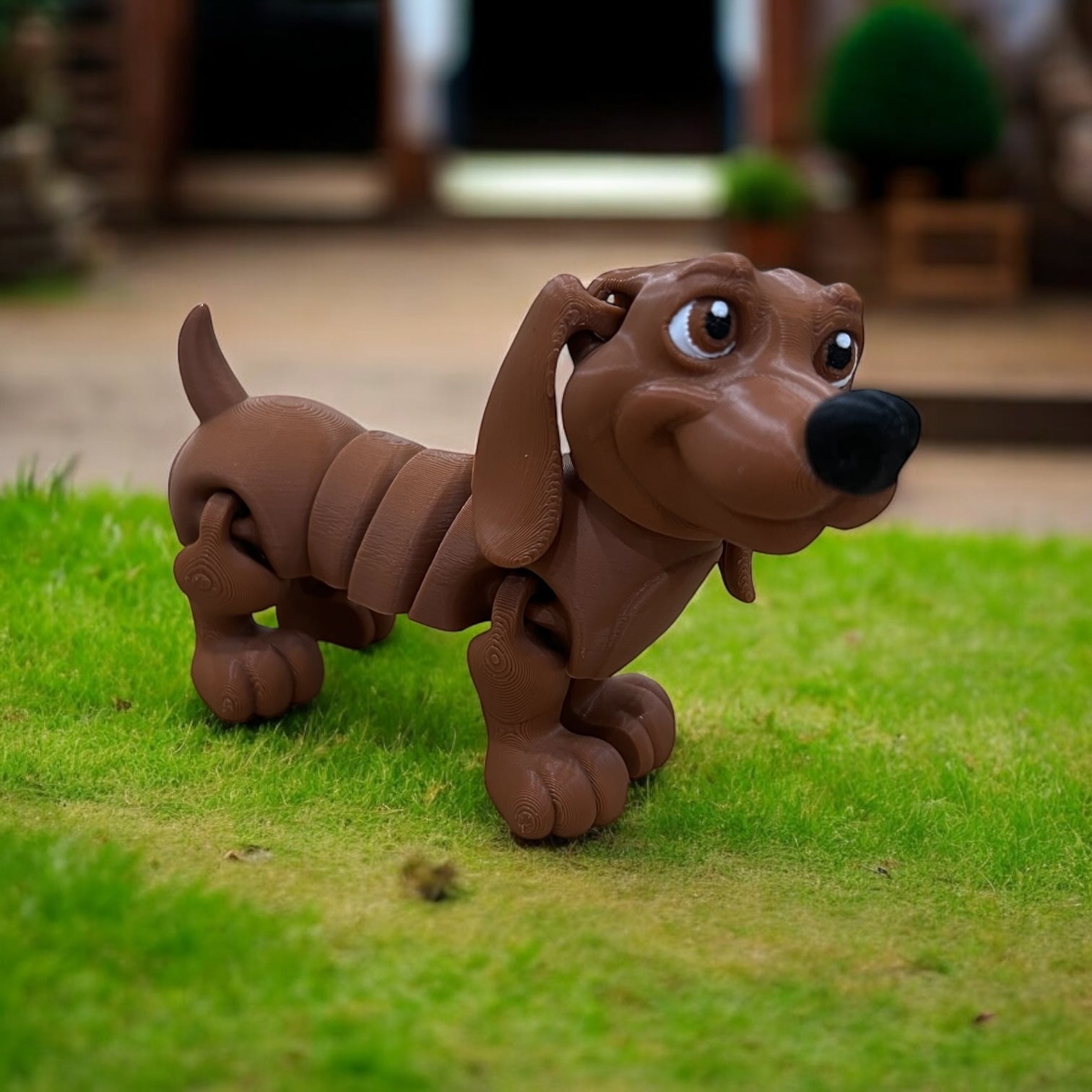 Frank & Beans – the Dynamic Dachshund Duo