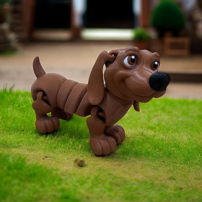 Frank & Beans – the Dynamic Dachshund Duo