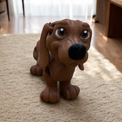 Frank & Beans – the Dynamic Dachshund Duo