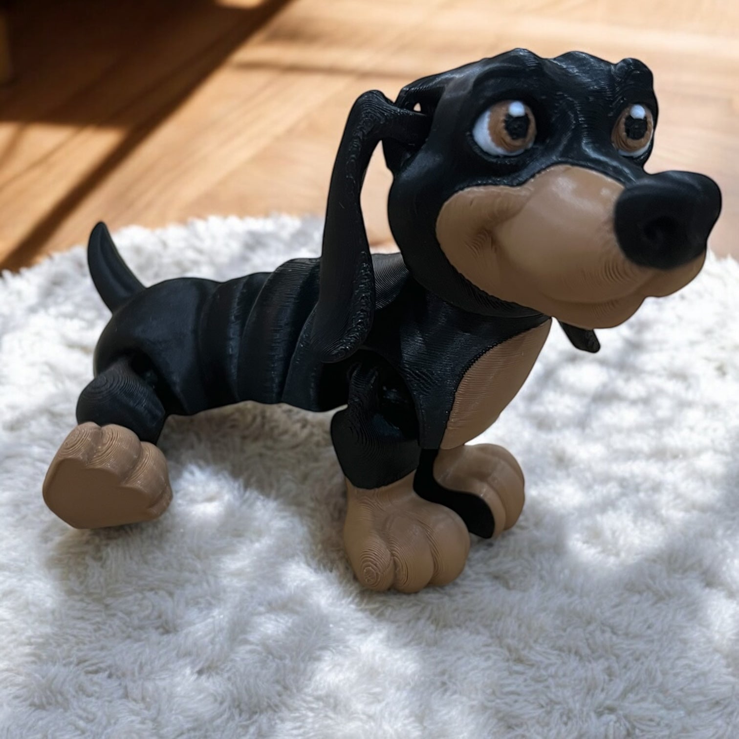Frank & Beans – the Dynamic Dachshund Duo