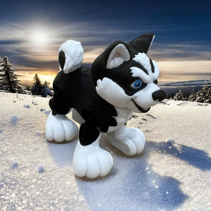 Koda the Husky