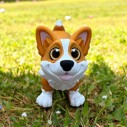 Waffles the Wonder Corgi