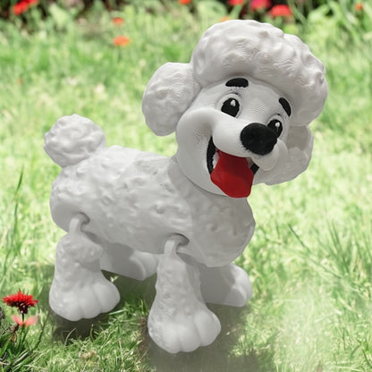 Poodle