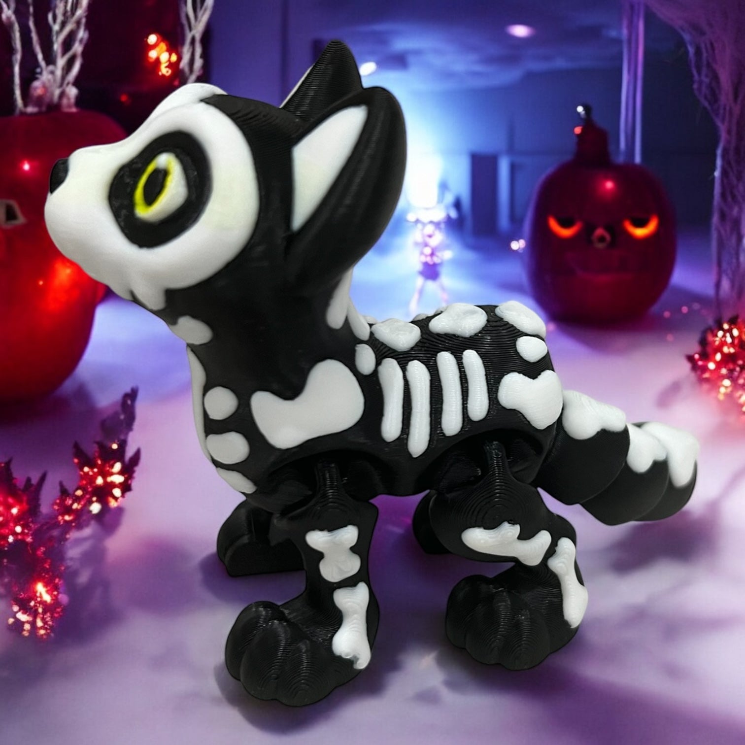 Bones the Skeleton Cat