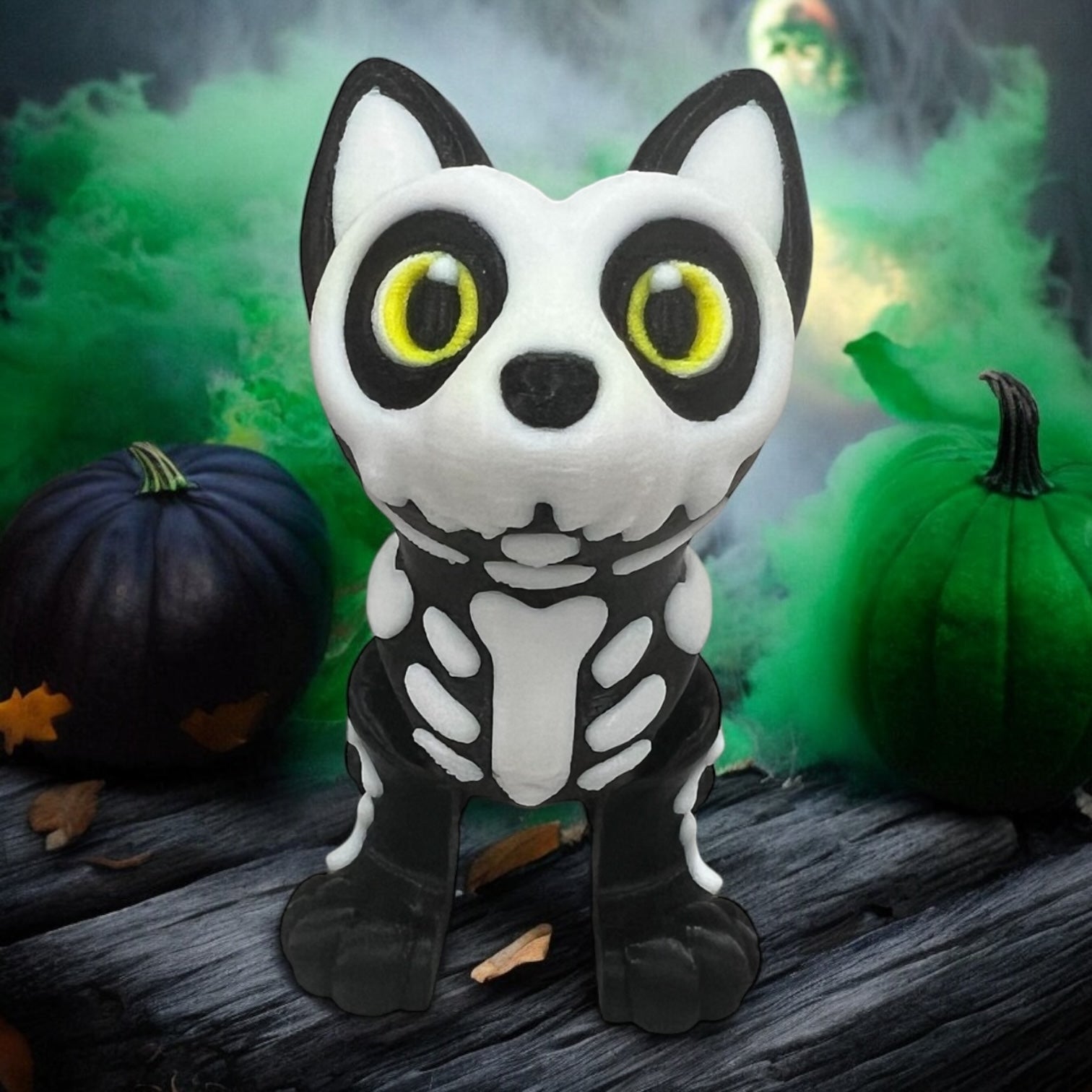 Bones the Skeleton Cat