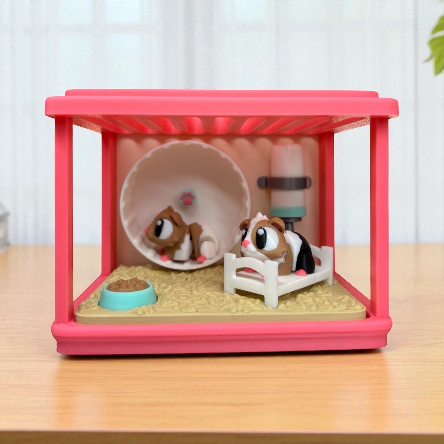 Guinea Pig Enclosure + Mini Guinea Pigs