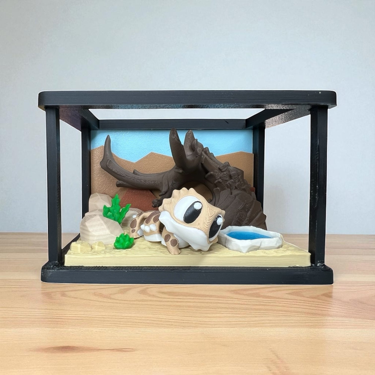 Bearded Dragon Enclosure