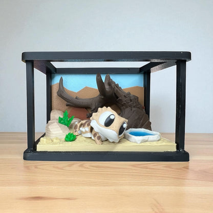 Bearded Dragon Enclosure
