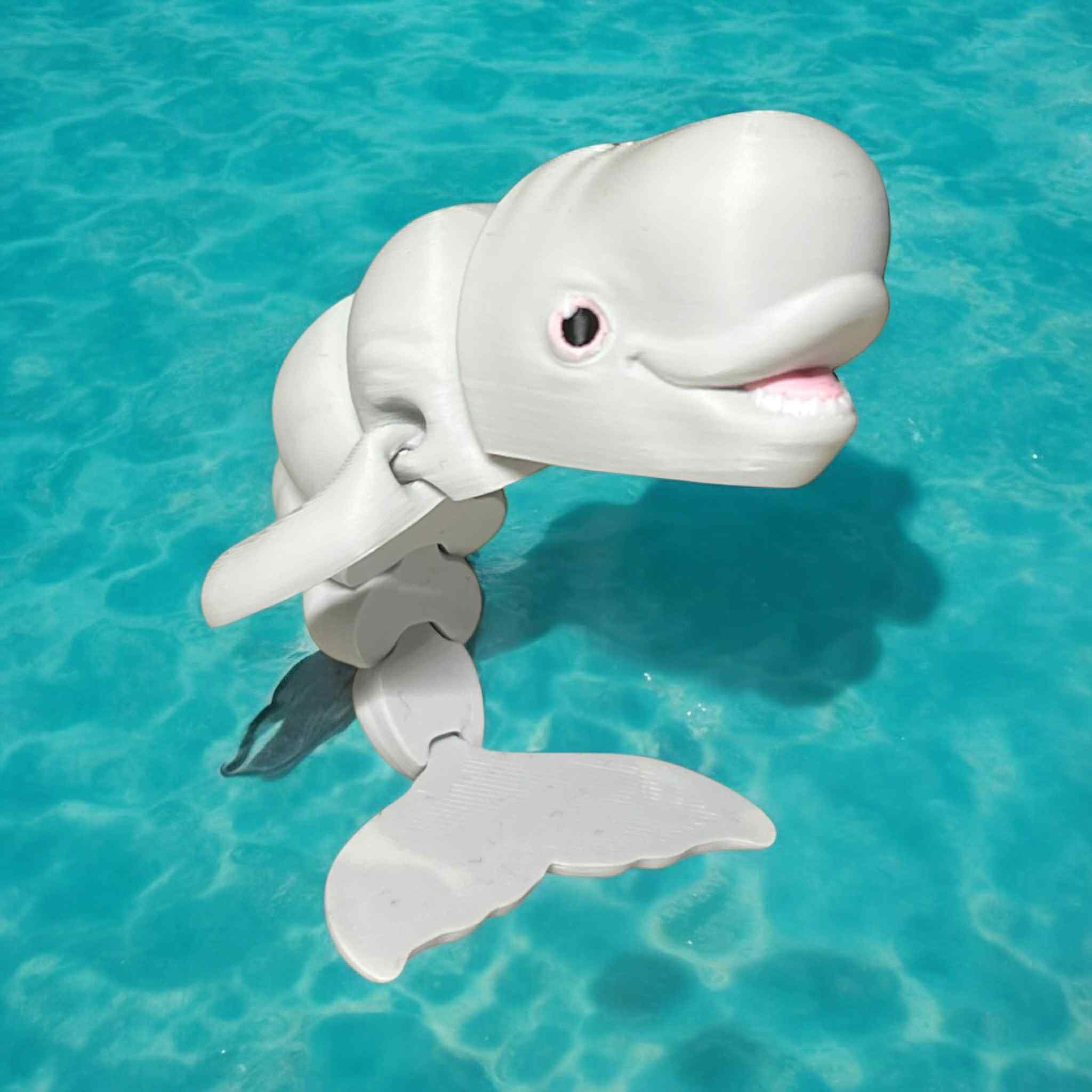 Bloop the Beluga