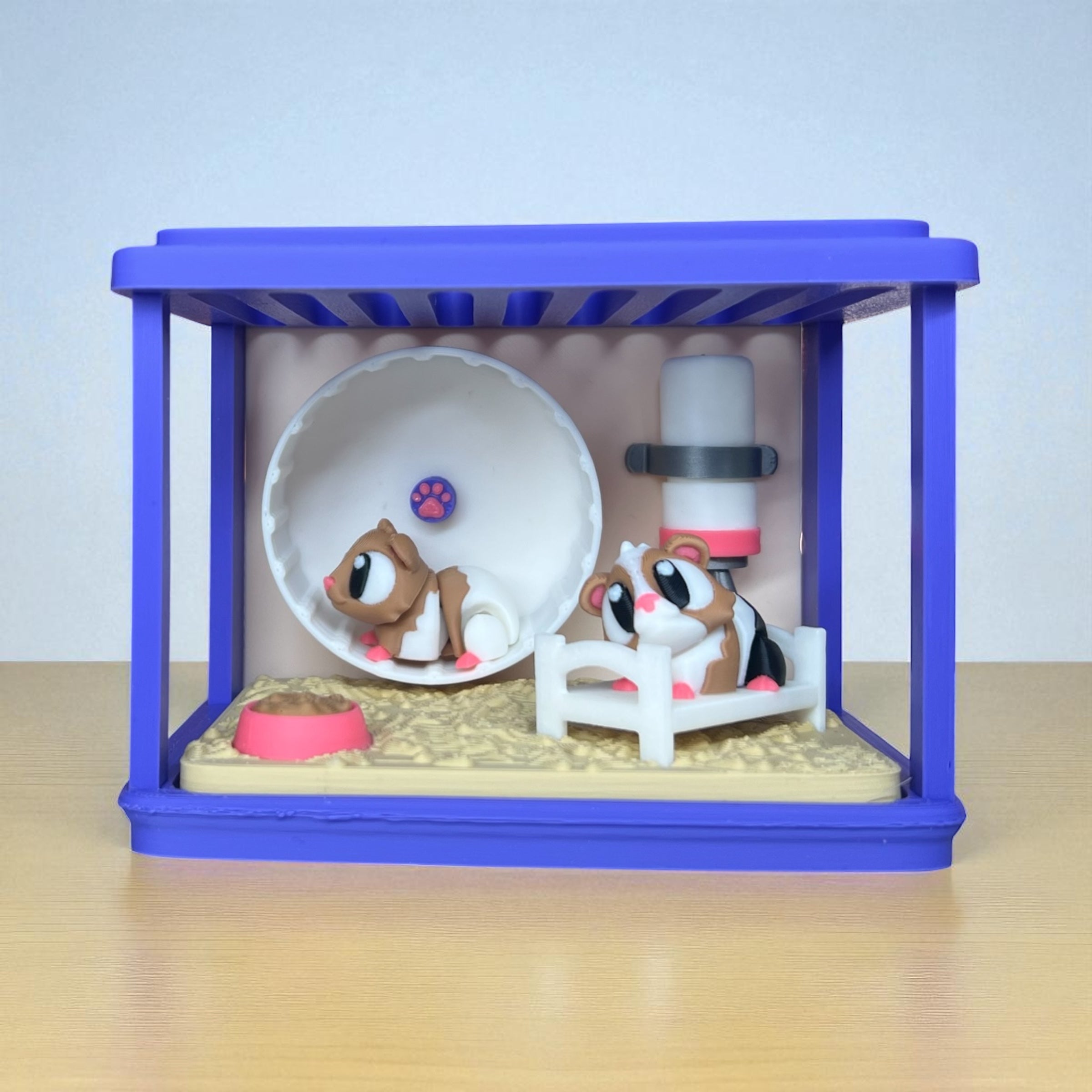 Guinea Pig Enclosure + Mini Guinea Pigs