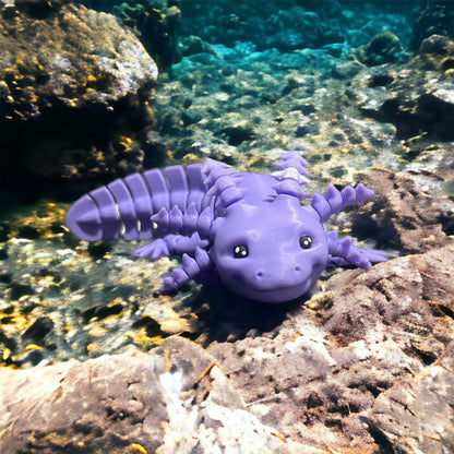 Axolotl