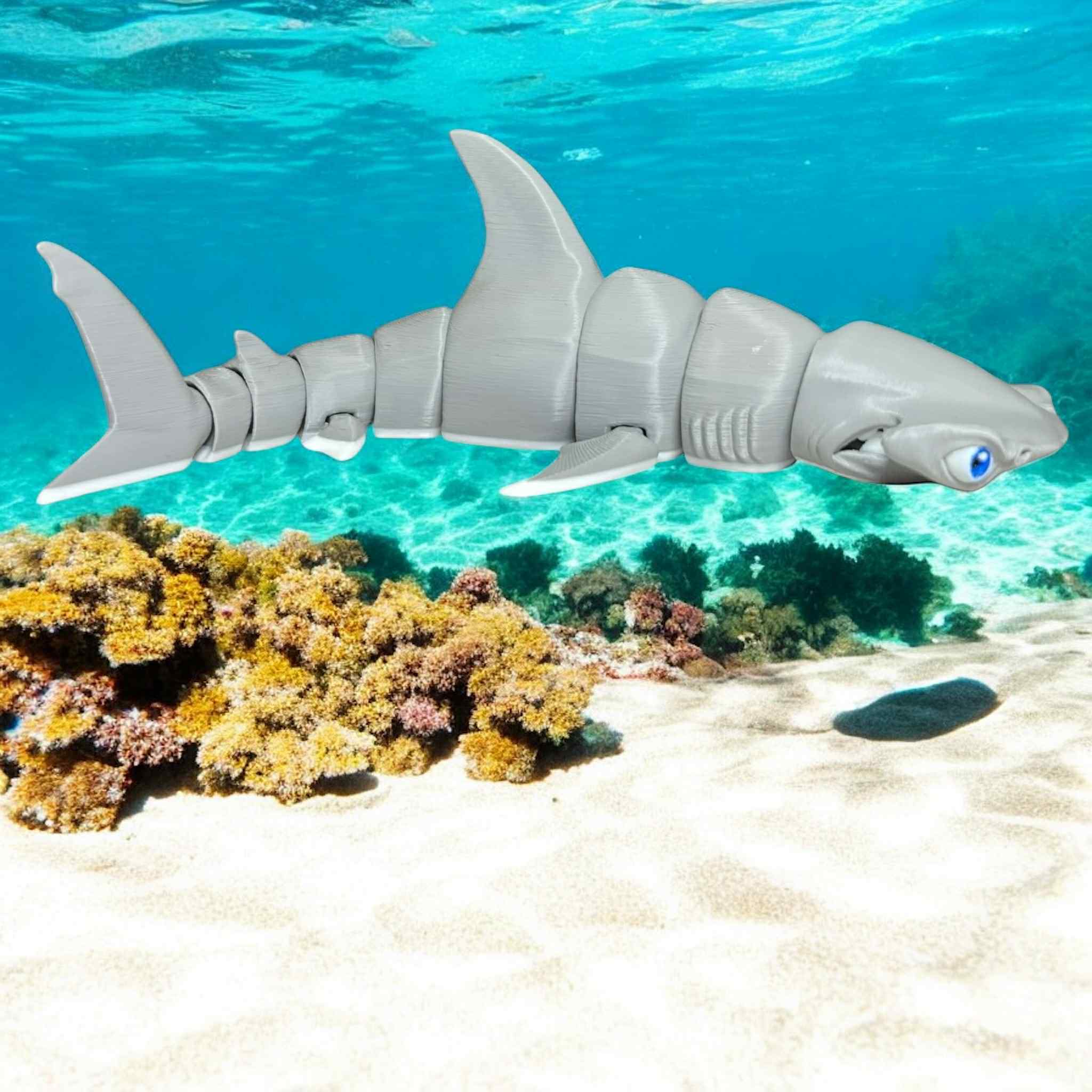 Finnigan the Hammerhead