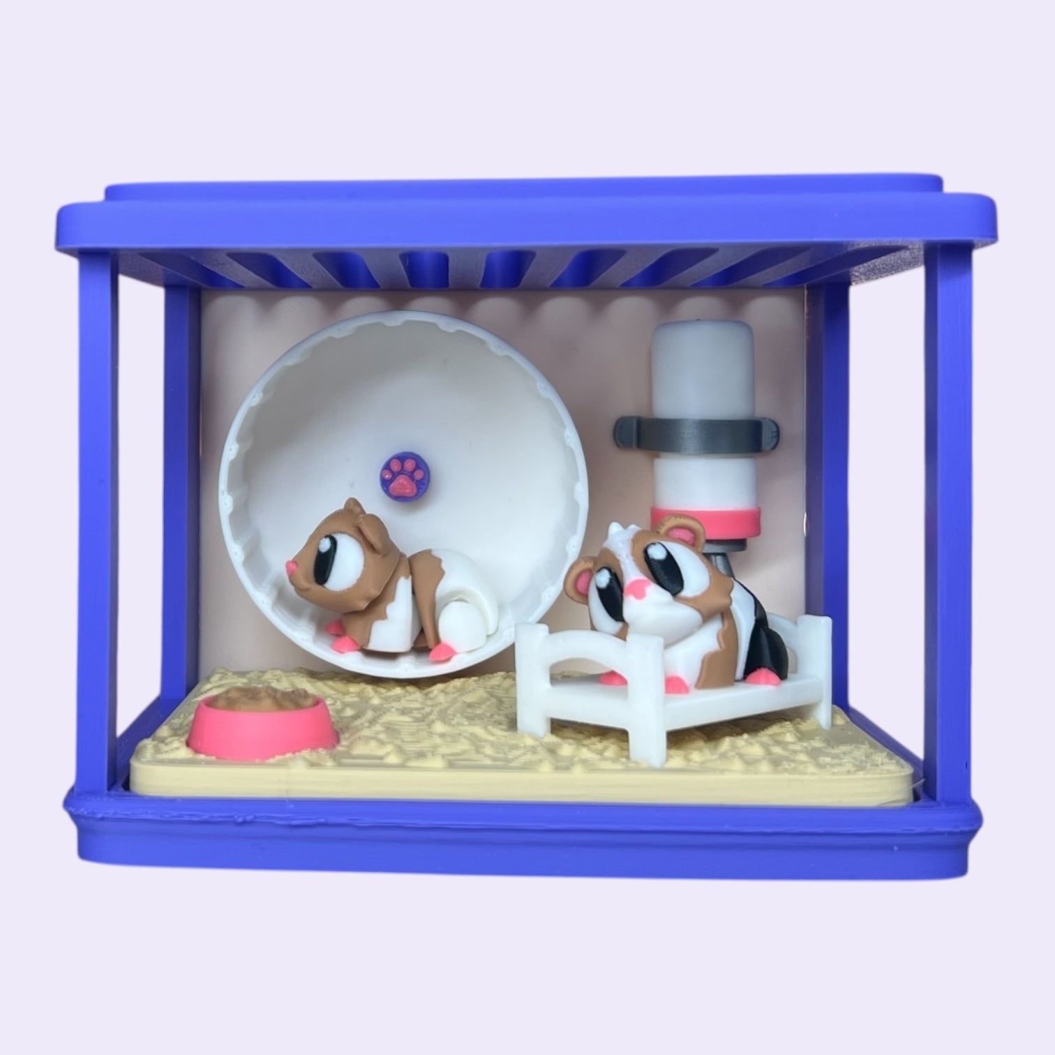 Guinea Pig Enclosure + Mini Guinea Pigs