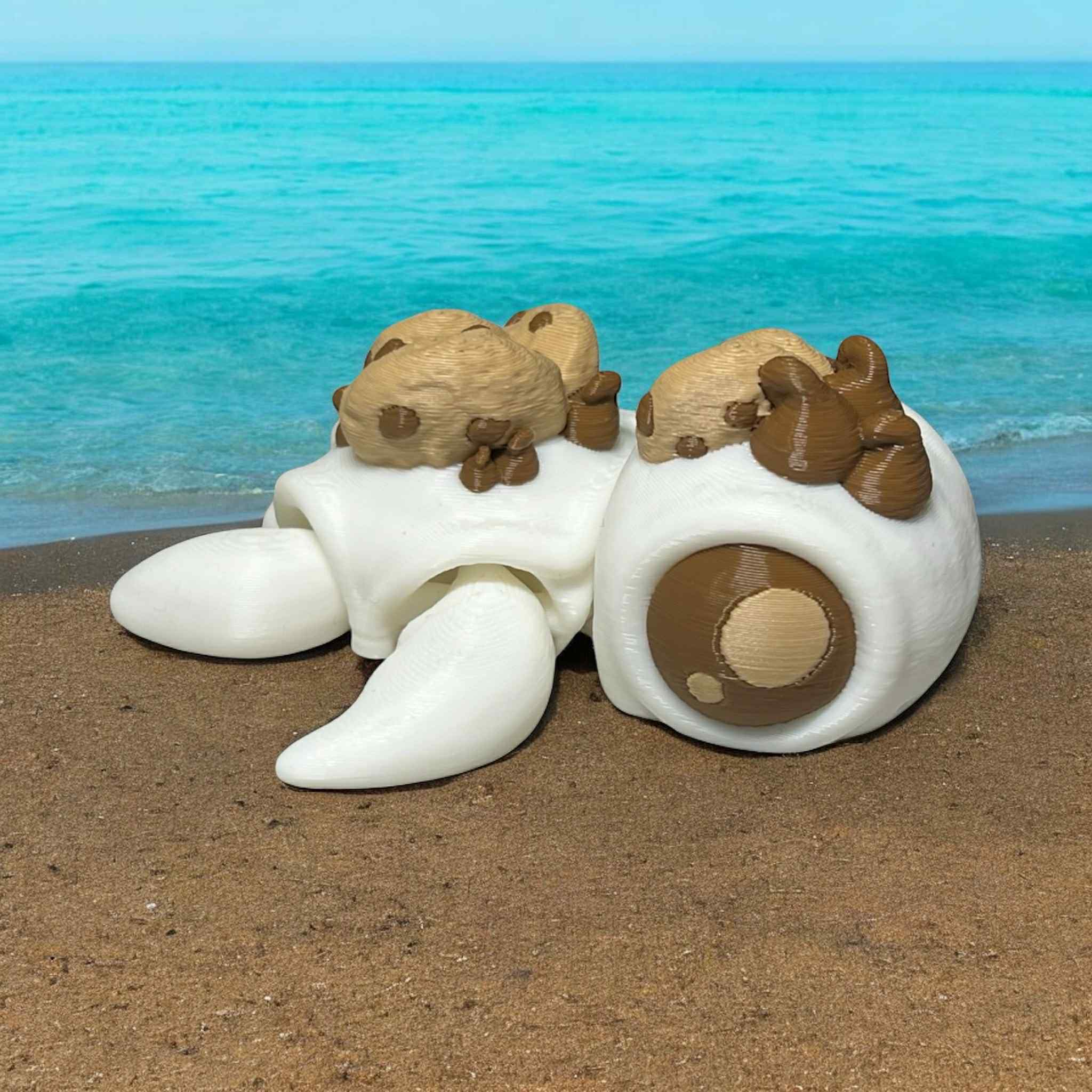 Chip the Cookie Turtle