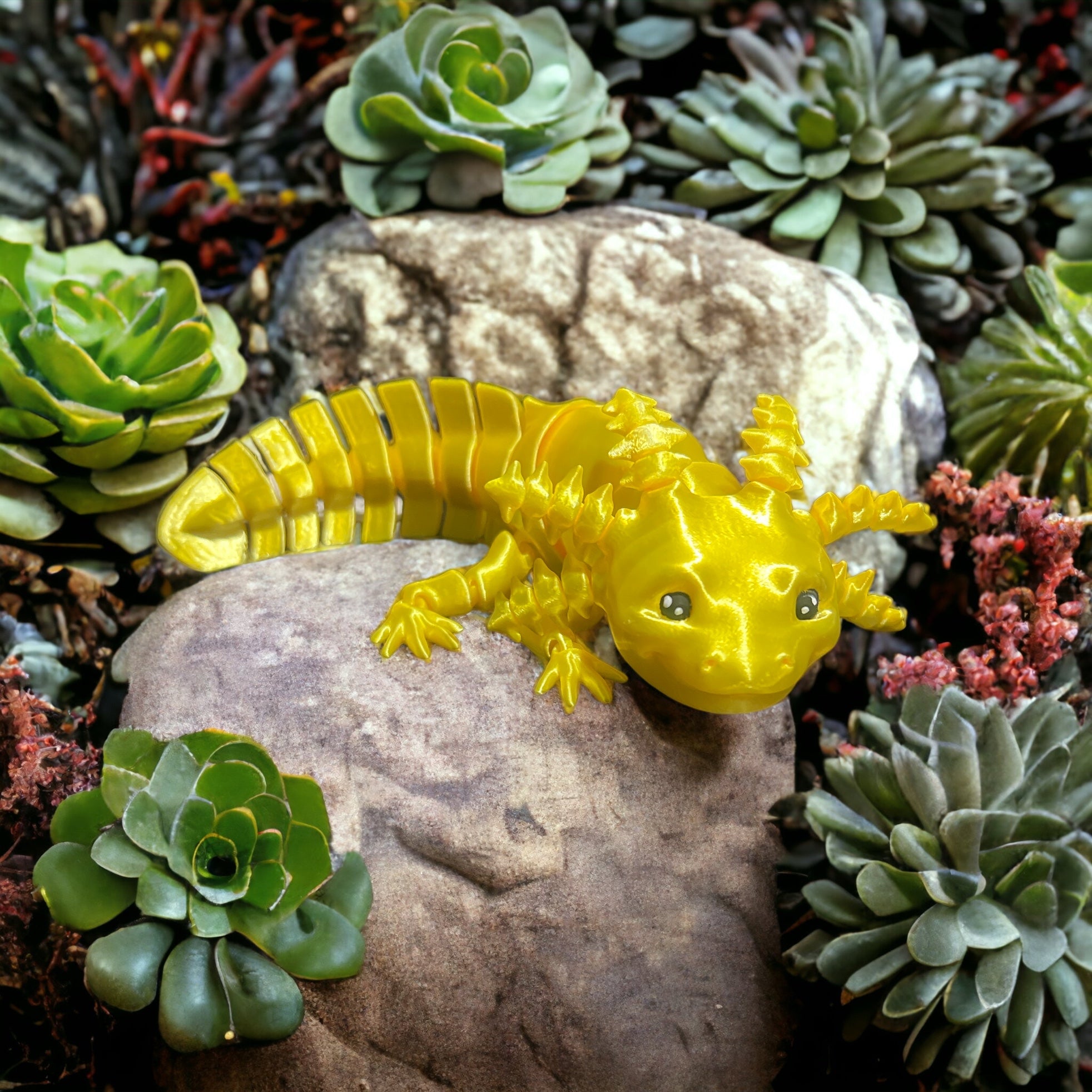 Axolotl