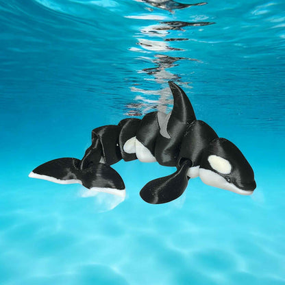 Kona the Orca