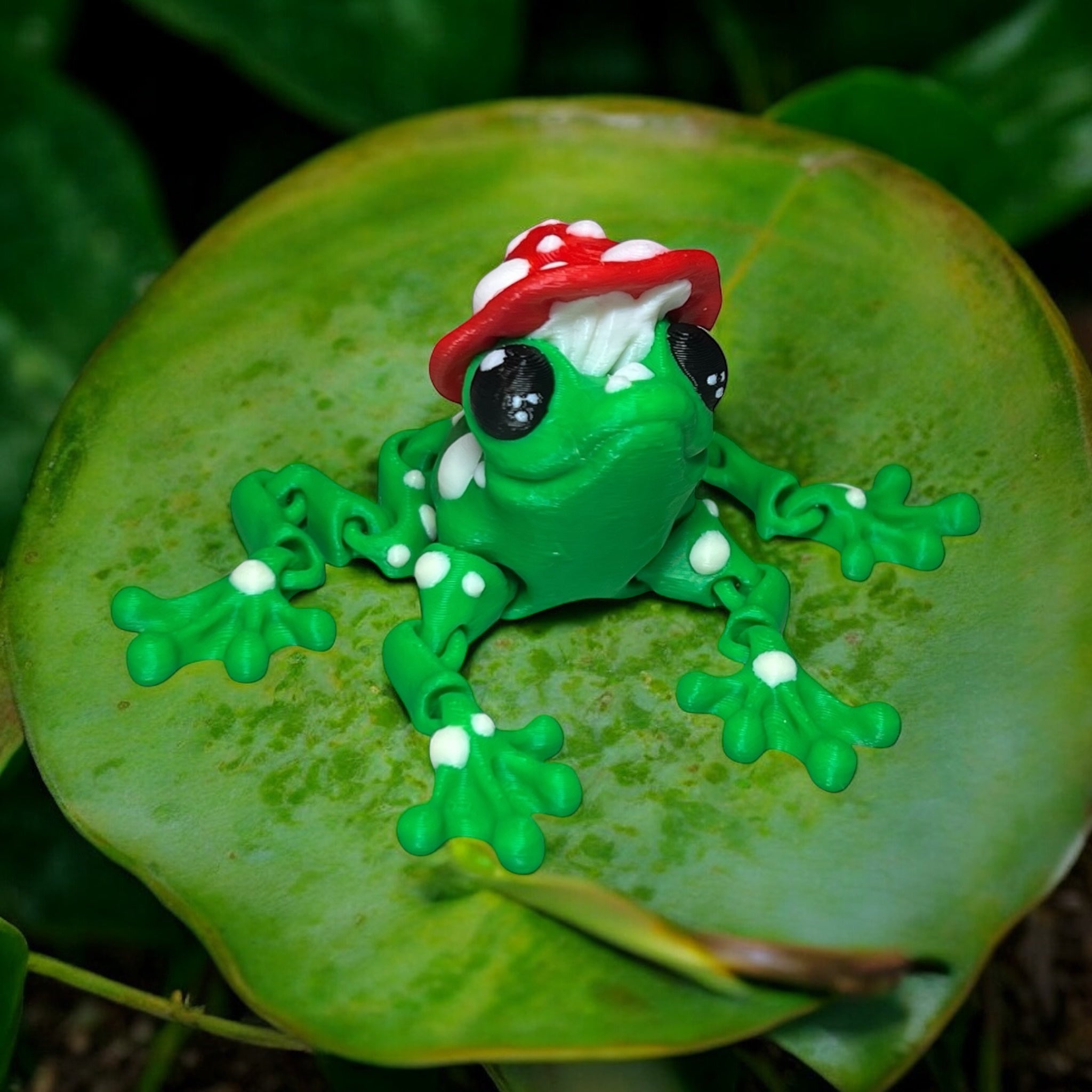 Toadie the Mushroom Frog