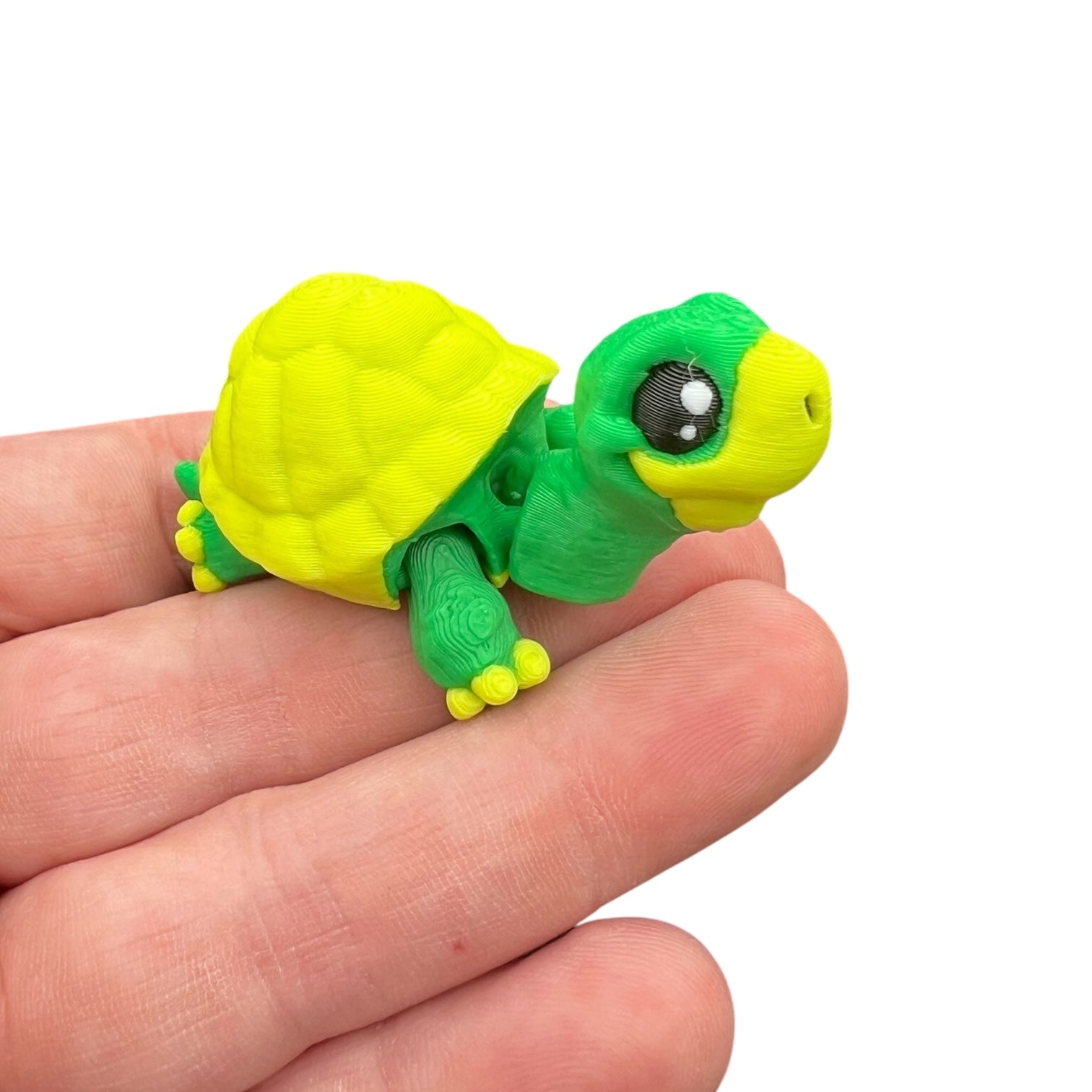 Tiki the Tortoise Mini