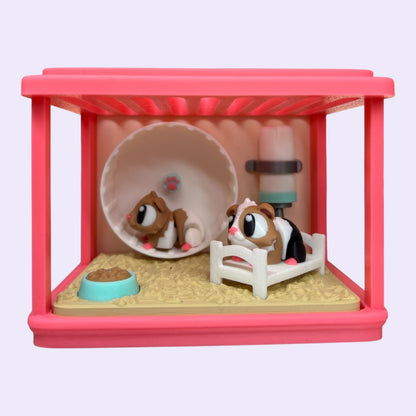 Guinea Pig Enclosure + Mini Guinea Pigs