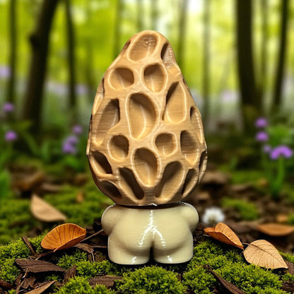 Moro the Morel